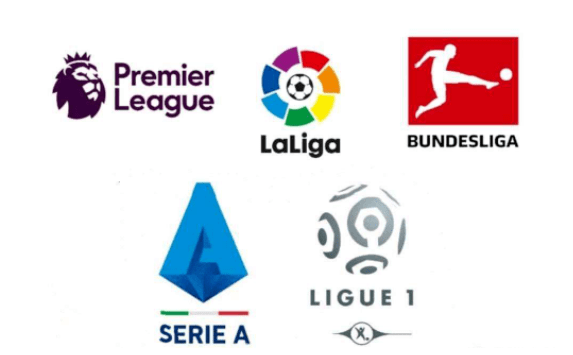 归可能成为 归可能成为